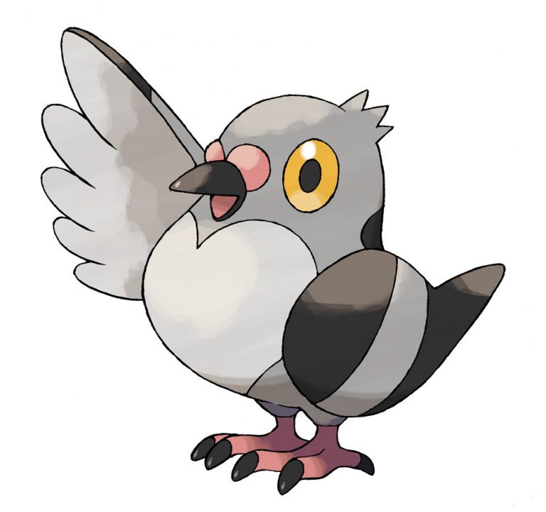Pokemon Black White Artwork 017