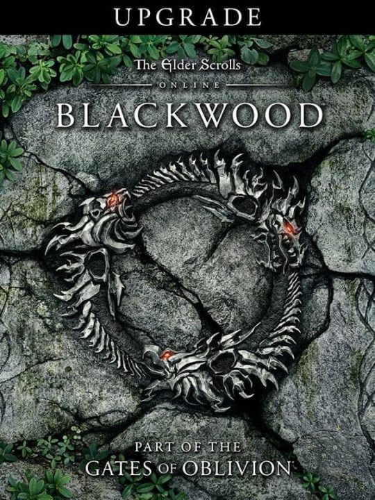 The Elder Scrolls Online Blackwood Cover Art Upgrade