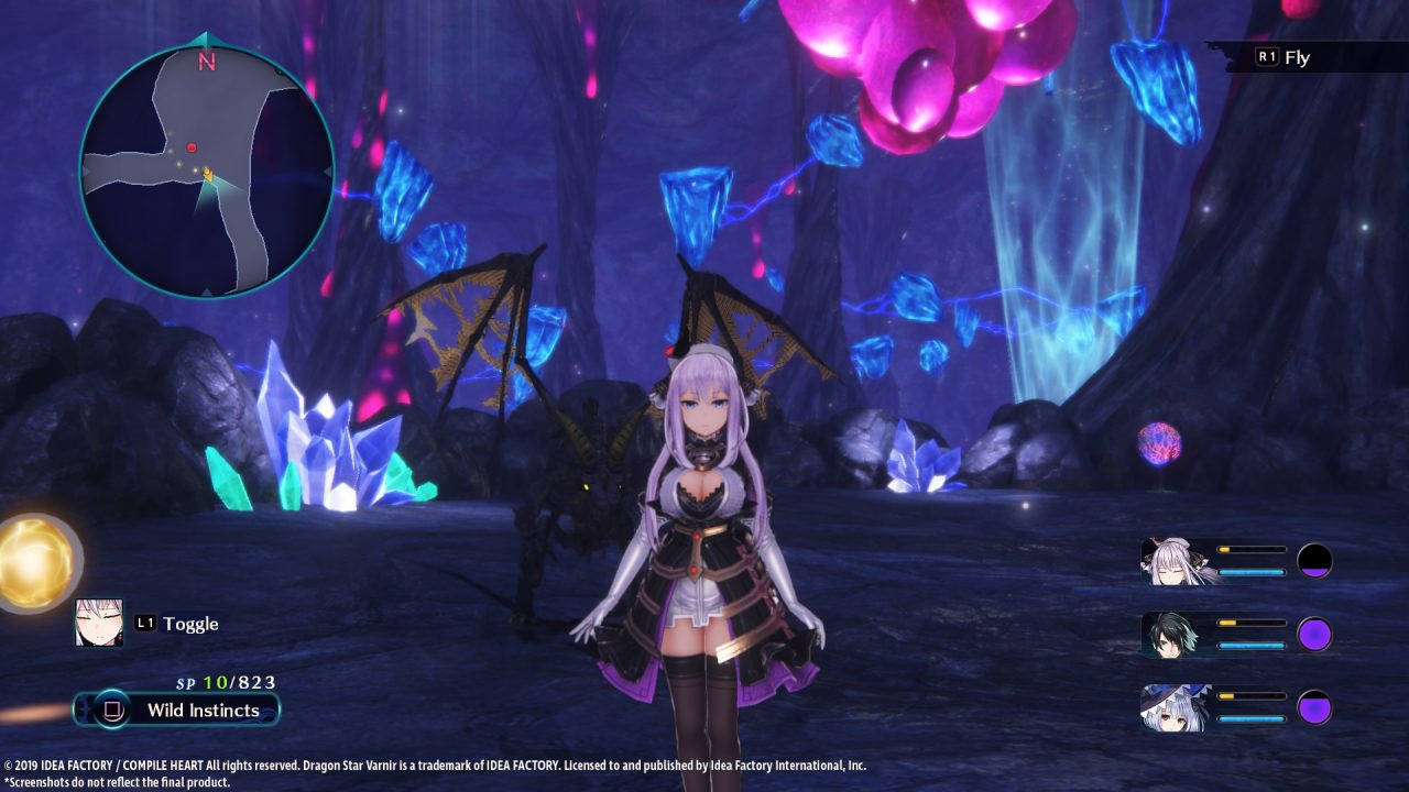 Dragon Star Varnir Screenshot 090