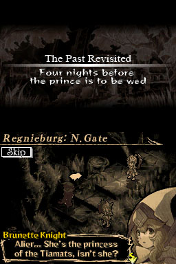 Knights in the Nightmare Screenshot 021