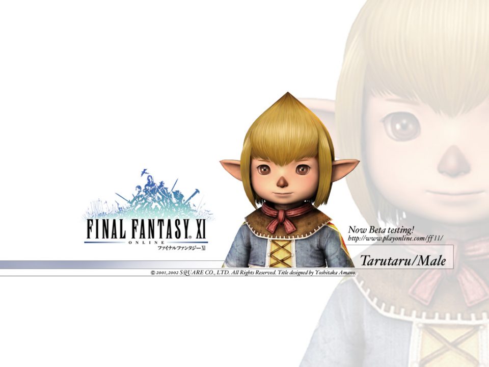 Final Fantasy XI Artwork 089
