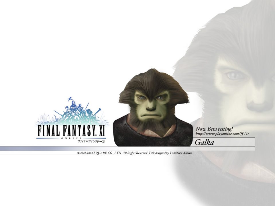 Final Fantasy XI Artwork 093