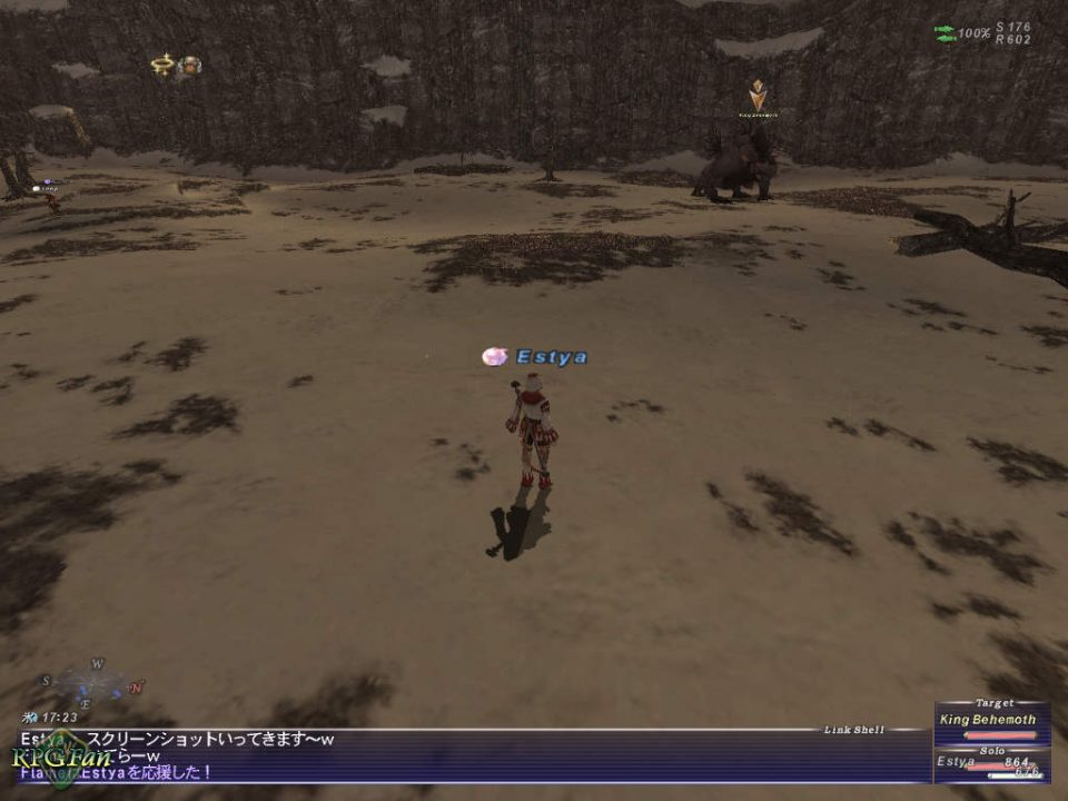 Final Fantasy XI Screenshot 006
