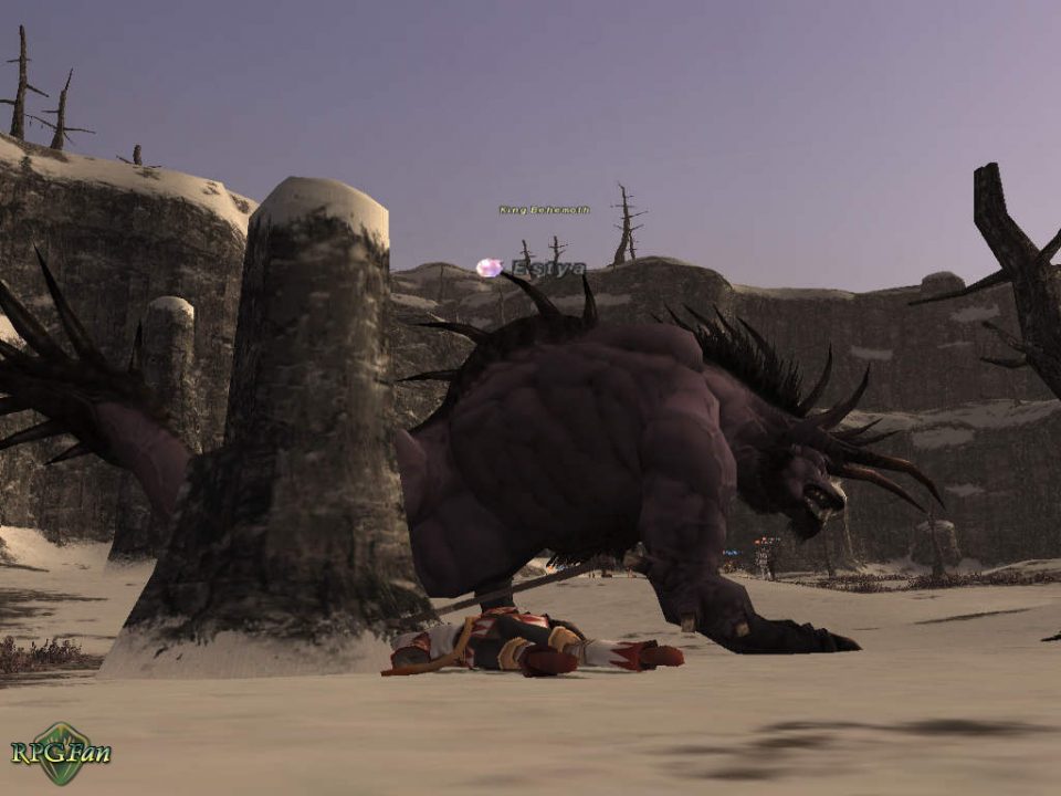 Final Fantasy XI Screenshot 009