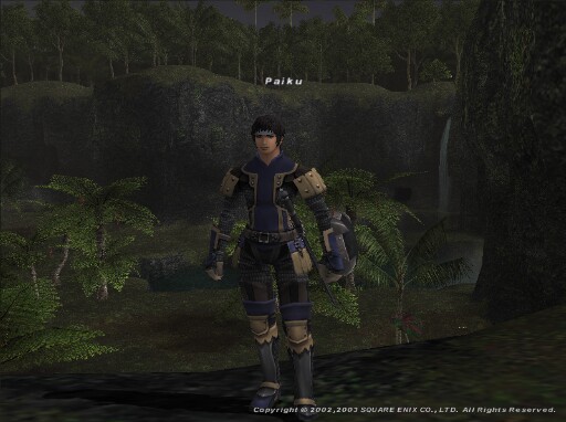 Final Fantasy XI Screenshot 207
