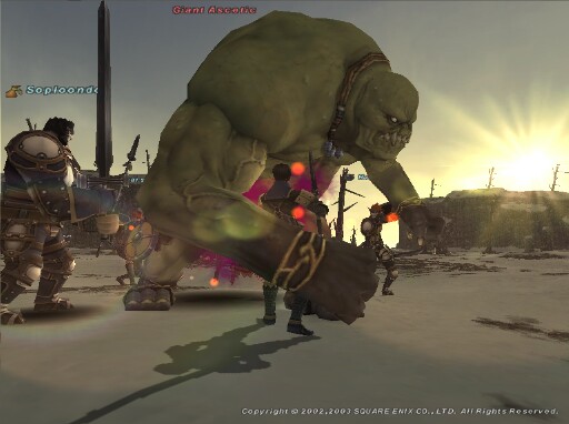 Final Fantasy XI Screenshot 221