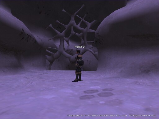 Final Fantasy XI Screenshot 233
