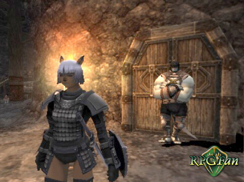 Final Fantasy XI Screenshot 460