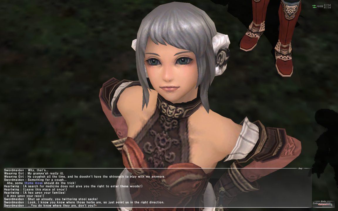 Final Fantasy XI Seekers of Adoulin Screenshot 015