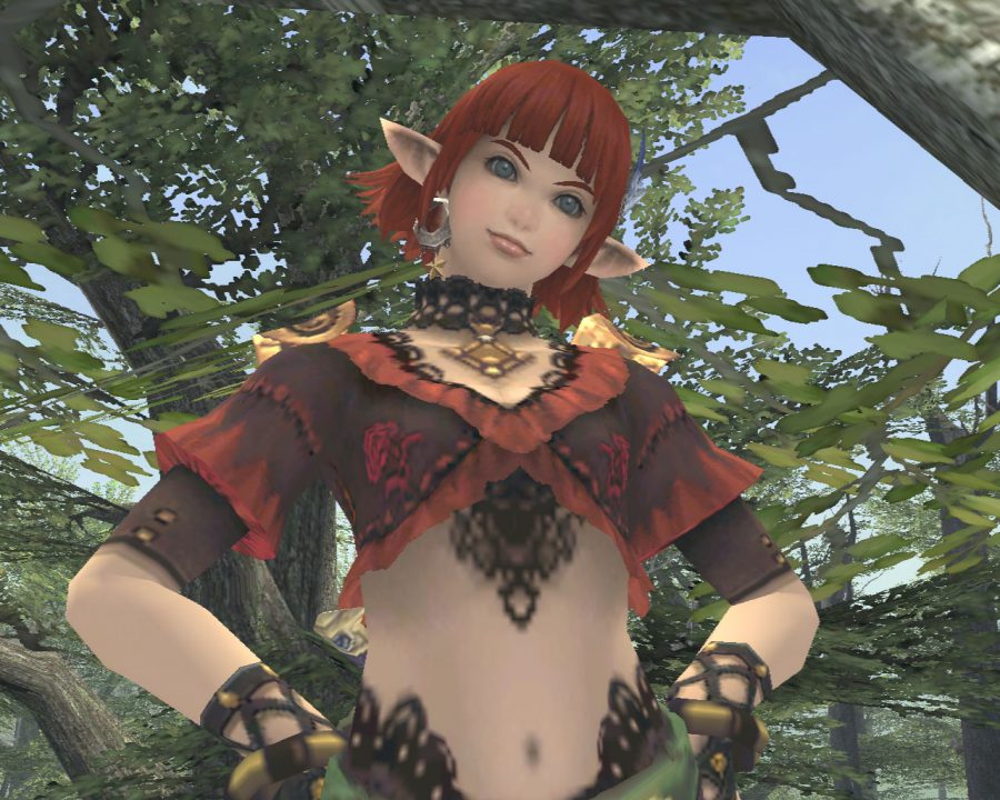 Final Fantasy XI Wings of the Goddess Screenshot 035