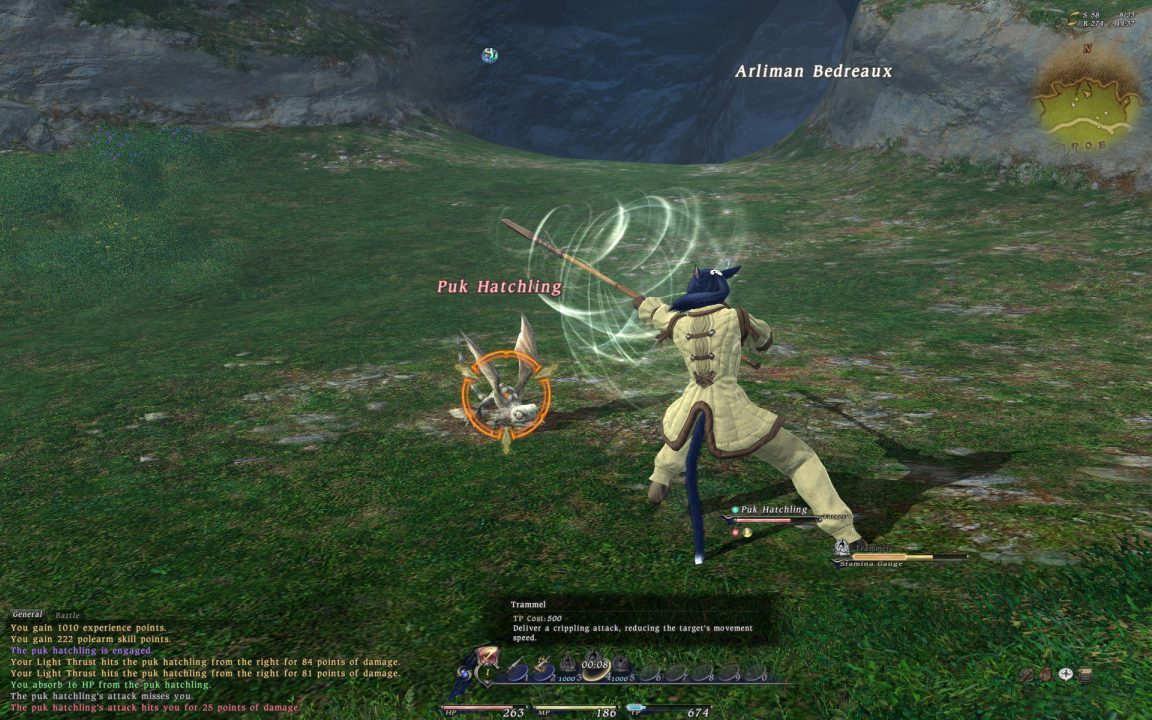 Final Fantasy XIV Screenshot 228
