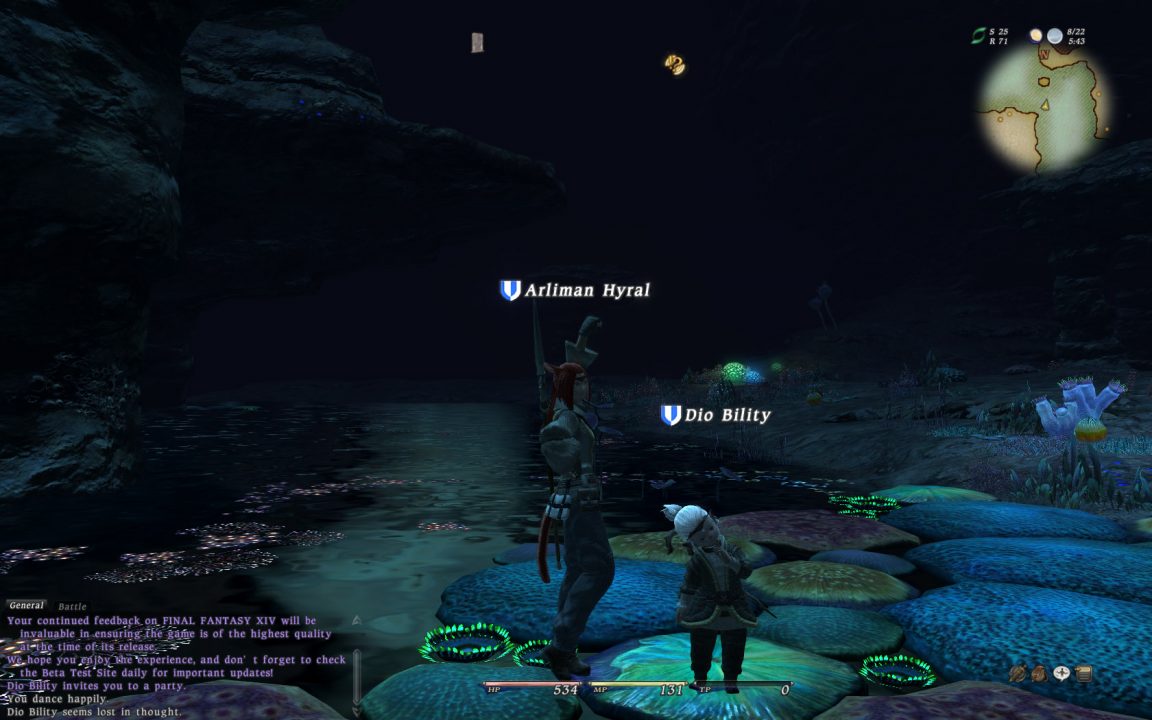 Final Fantasy XIV Screenshot 232
