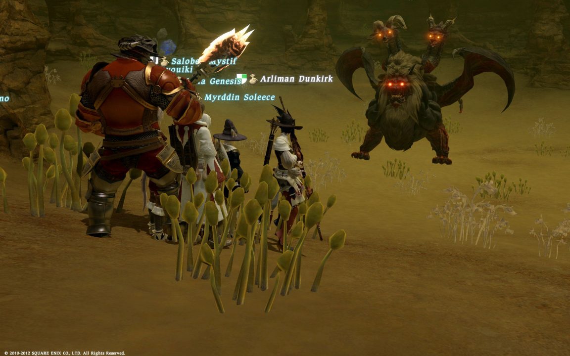 Final Fantasy XIV Screenshot 254