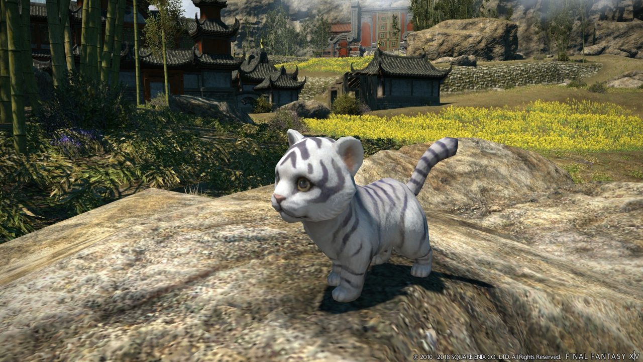 Final Fantasy XIV Stormblood Screenshot 299