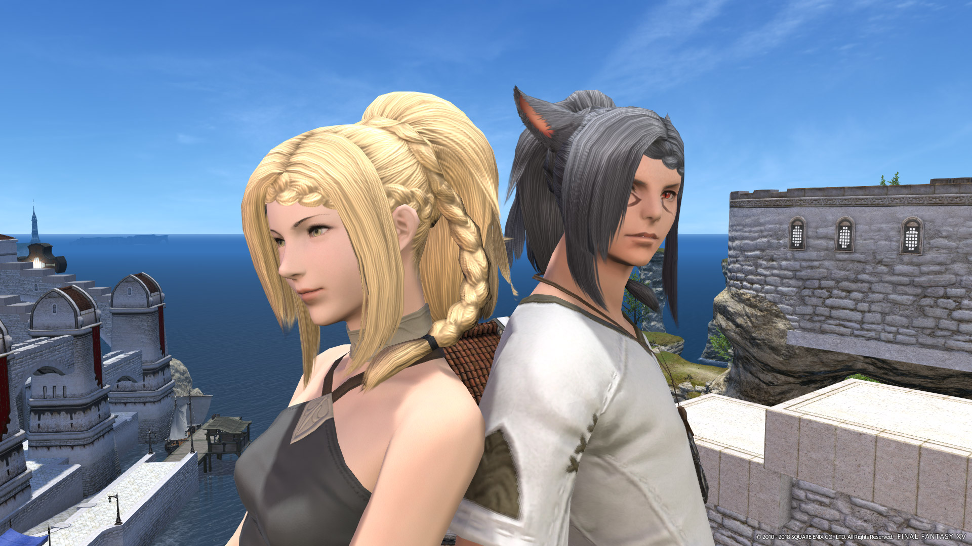 Фф pet. Файнал фэнтези 14. Ff14. Ff14 Gyr Abanian plait. Gyr Abanian plait Hairstyle.