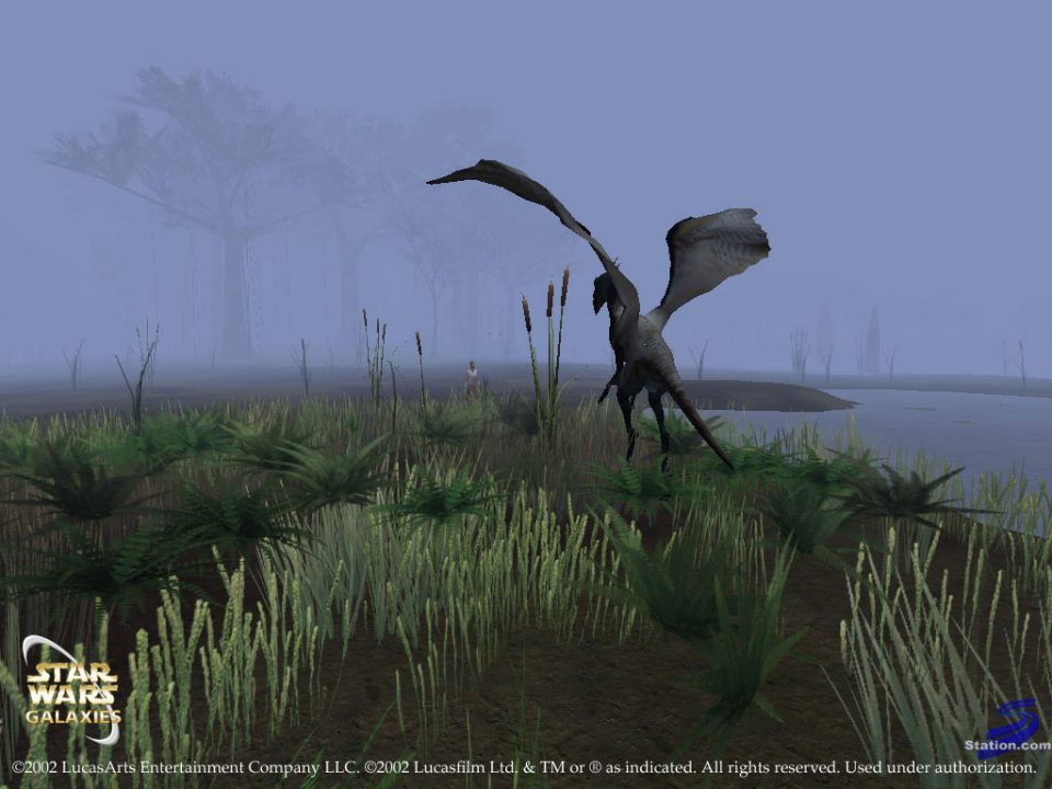 Star Wars Galaxies Screenshot 031