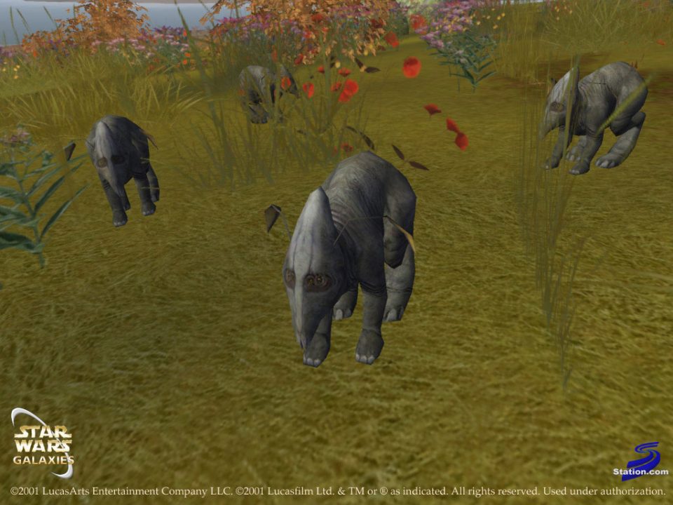 Star Wars Galaxies Screenshot 035
