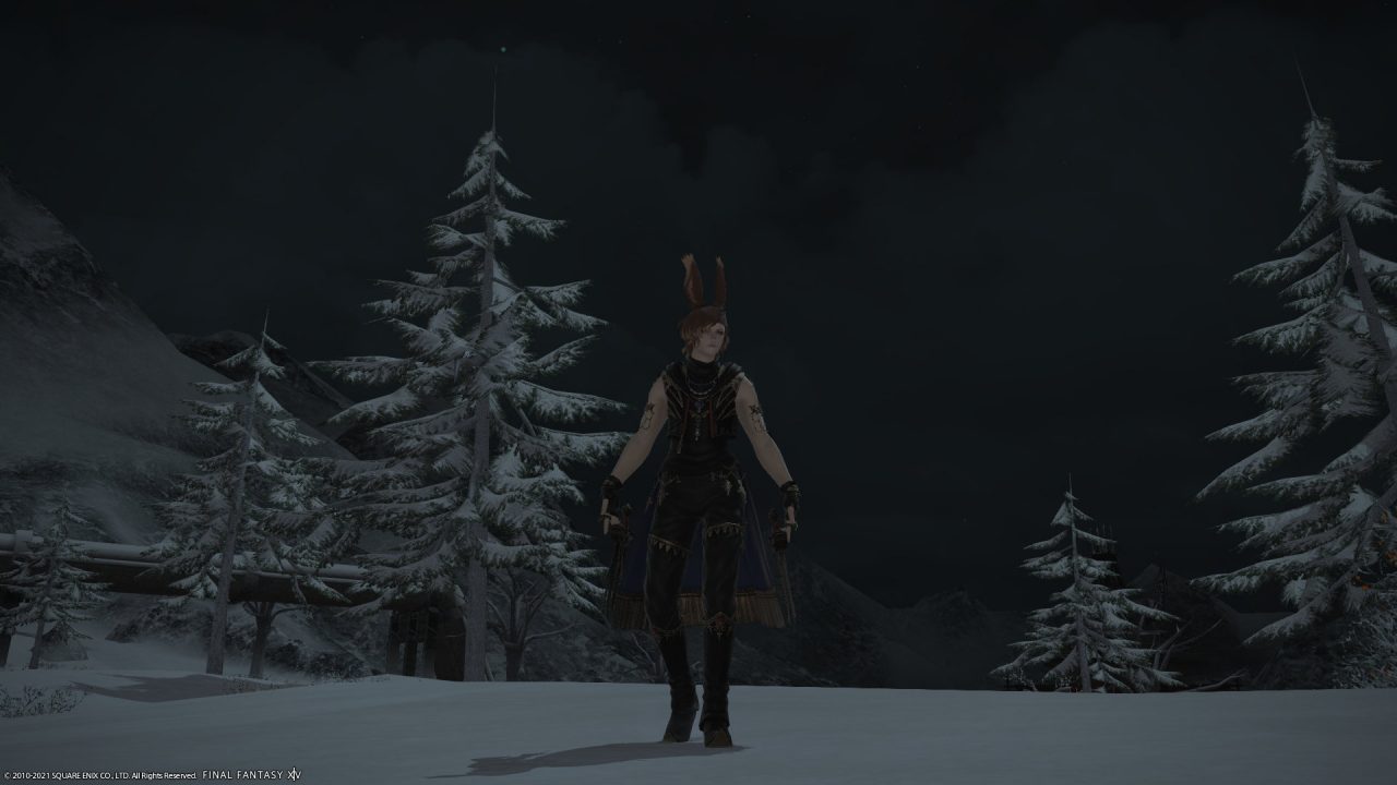 Final Fantasy XIV Endwalker Screenshot 101