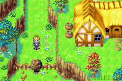 A screenshot of Golden Sun in a Town