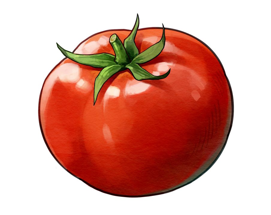 Harvestella Artwork 012 Nemean Tomato