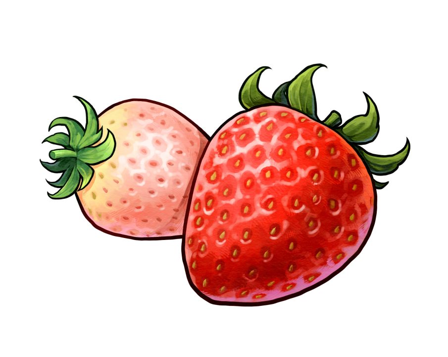 Harvestella Artwork 013 Strawbuddy