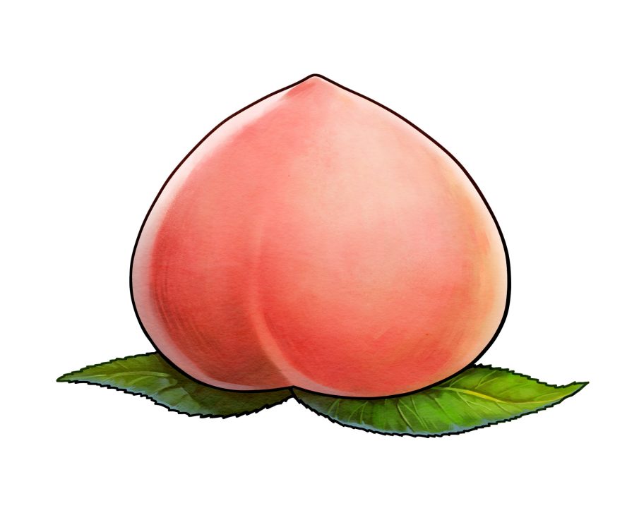 Harvestella Artwork 014 Wisty Peach