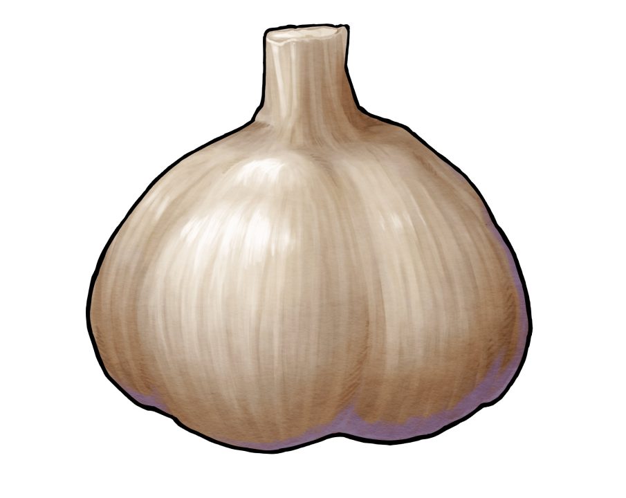 Harvestella Artwork 036