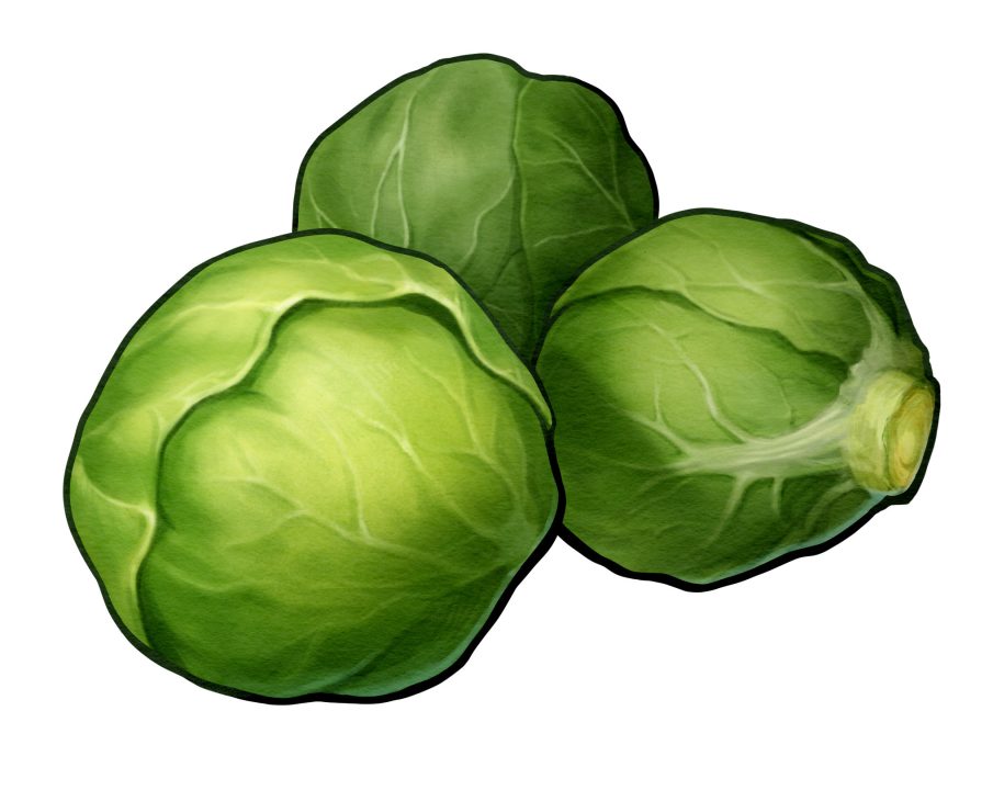 Harvestella Artwork 045 Argene Cabbage