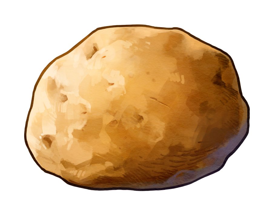 Harvestella Artwork 049 Lumpotato