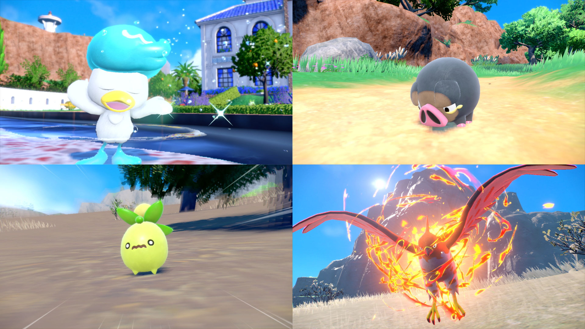 Pokémon Scarlet & Violet new screenshot collage of a duck, pig, olive, and flaming bird Pokémon.