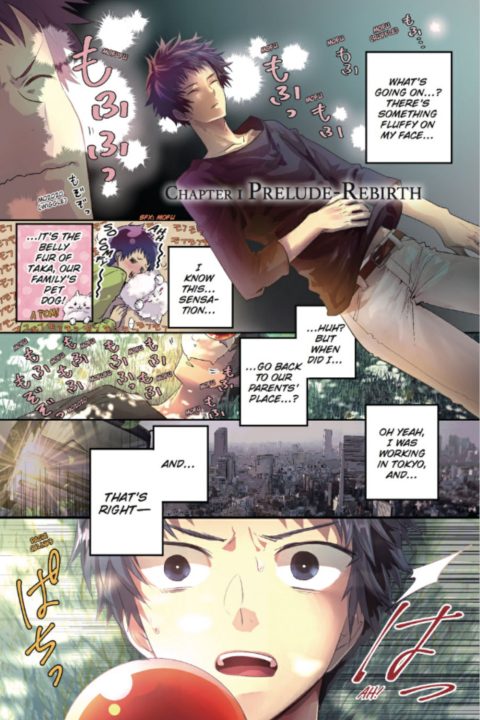 Gallery featuring two covers and one internal page from Final Fantasy Lost Stranger.