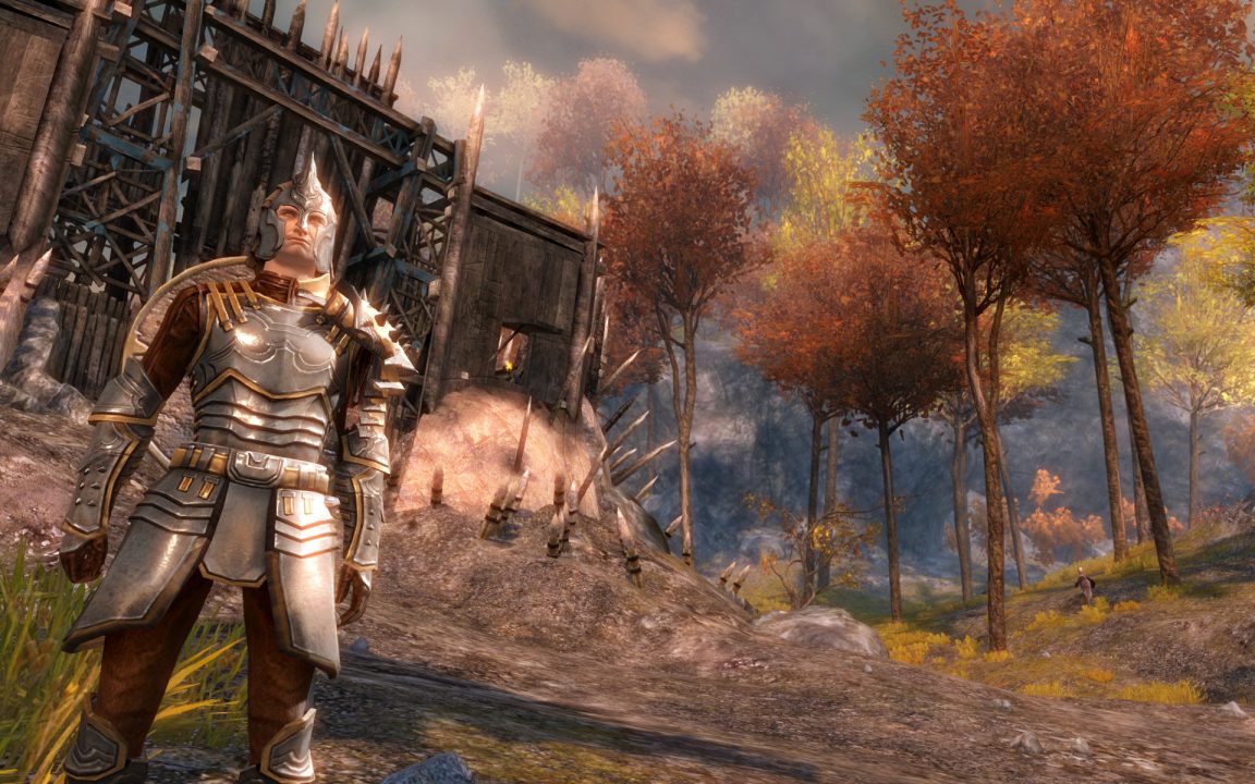 Guild Wars 2 Screenshot 016