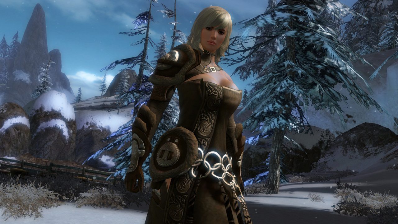 Guild Wars 2 Screenshot 037