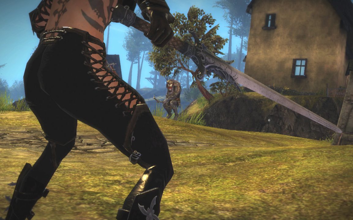 Guild Wars 2 Screenshot 045