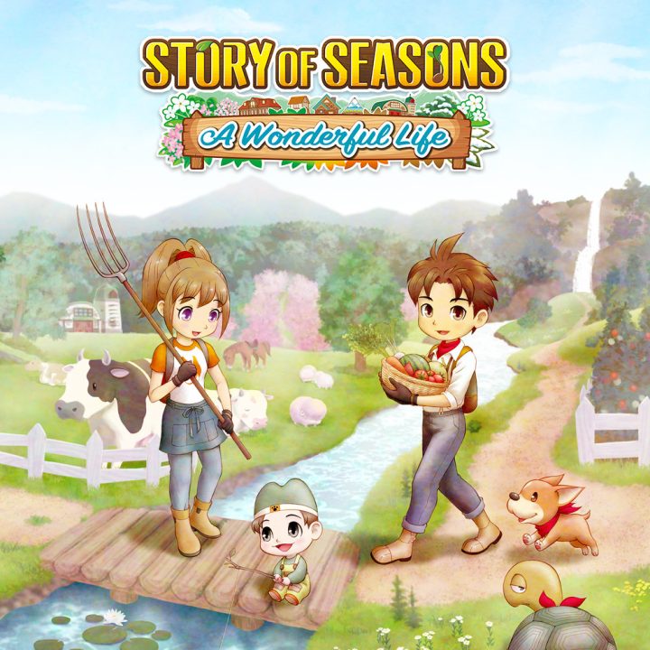Story of Seasons A Wonderful Life Artwork 002