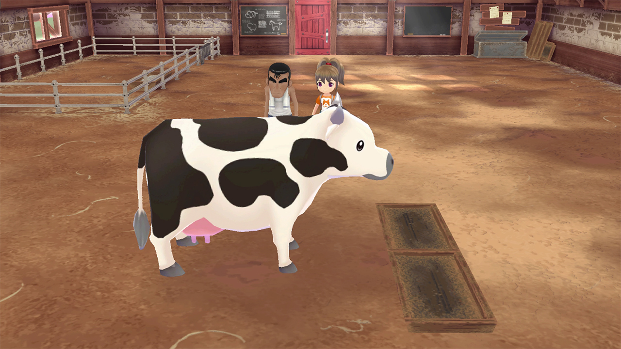 Screenshot of Story of Seasons: A Wonderful Life