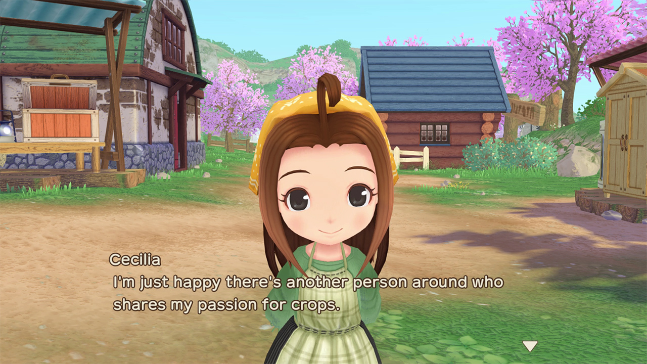 Story of Seasons A Wonderful Life Screenshot 006