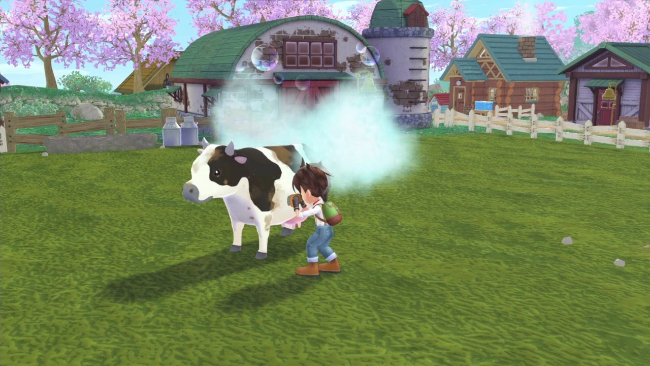 Story of Seasons A Wonderful Life Screenshot 009