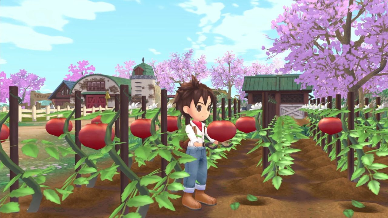 Story of Seasons A Wonderful Life Screenshot 013
