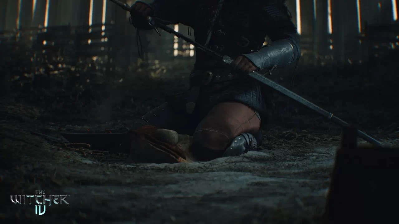 The Witcher IV Artwork 007