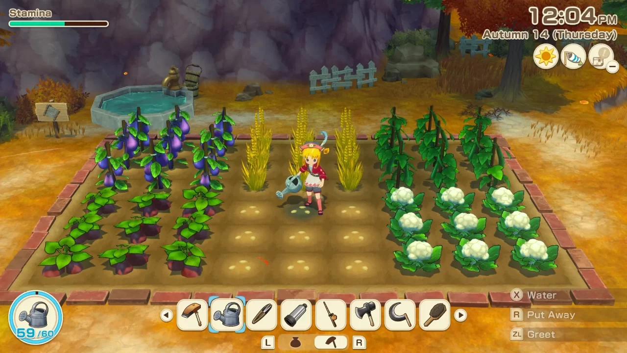 Story of Seasons Grand Bazaar Screenshot 001
