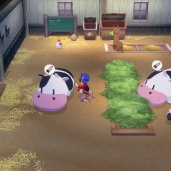 Story of Seasons: Grand Bazaar Screenshot