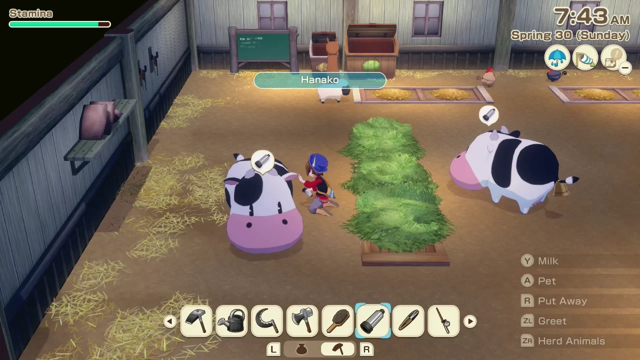Milking a cow inside the barn in Story of Seasons: Grand Bazaar