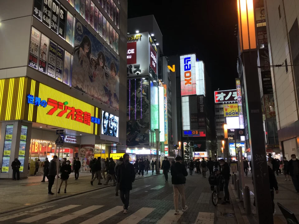 Photo of Akihabara taken just outside of Akihabara Station.