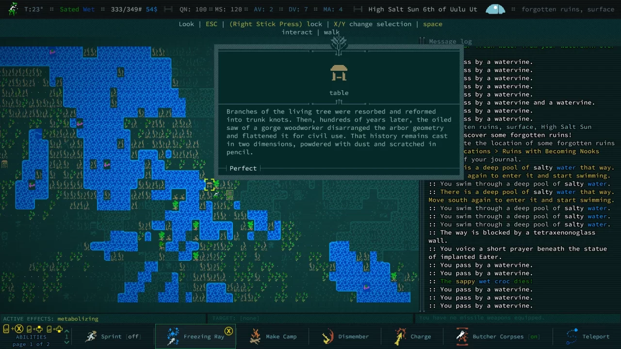 Caves of Qud Screenshot 011