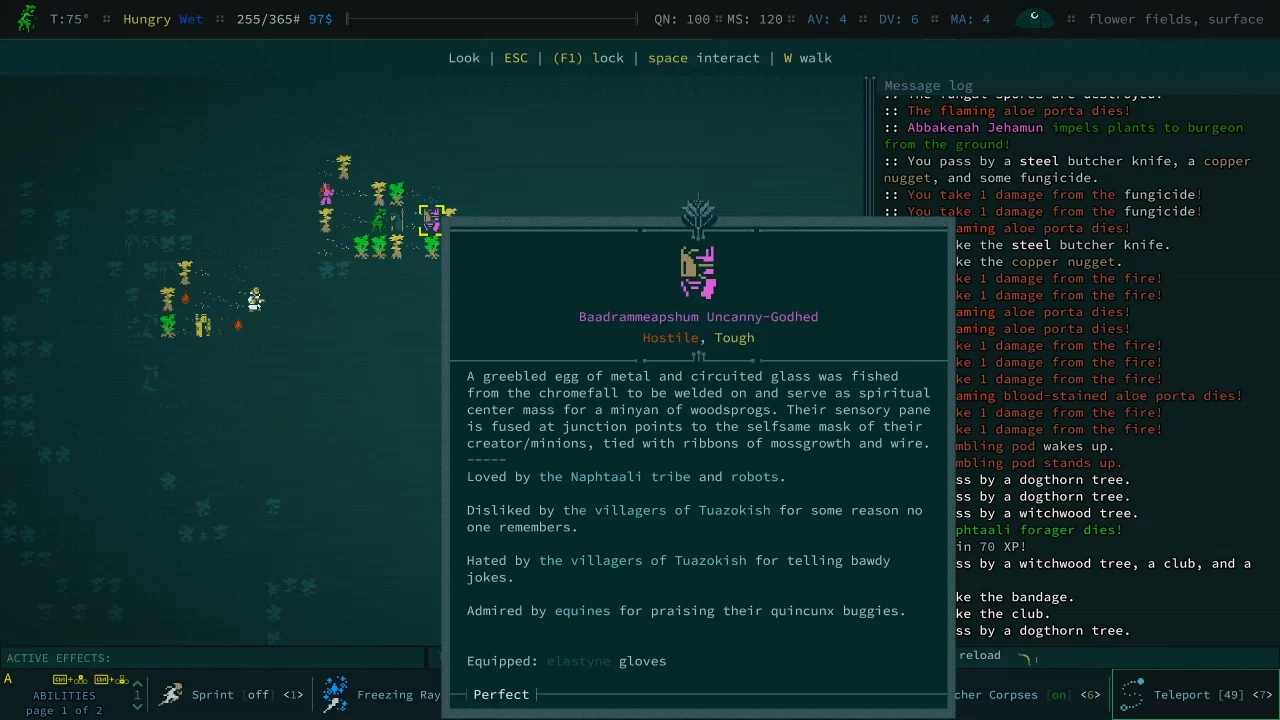 Caves of Qud Screenshot 014
