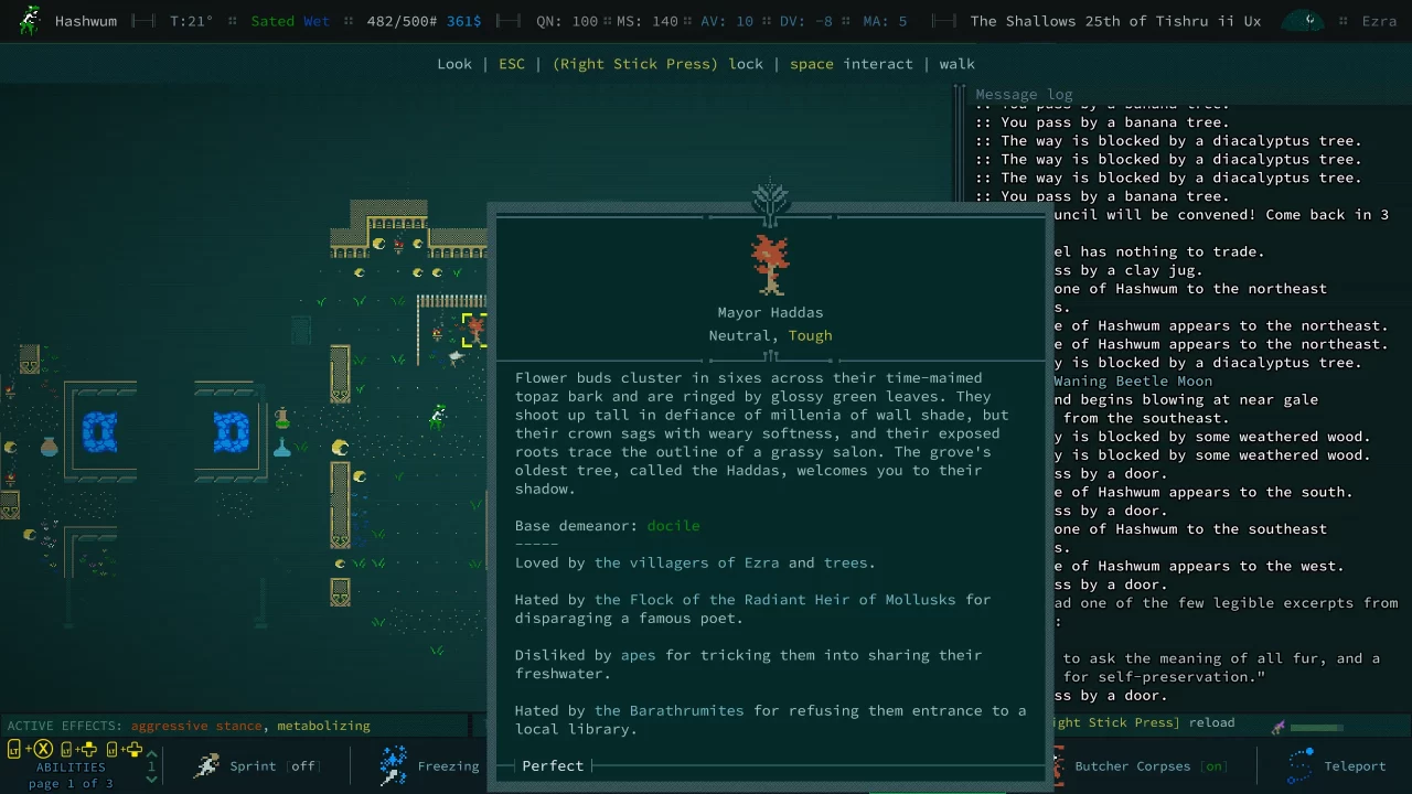 Caves of Qud Screenshot 016