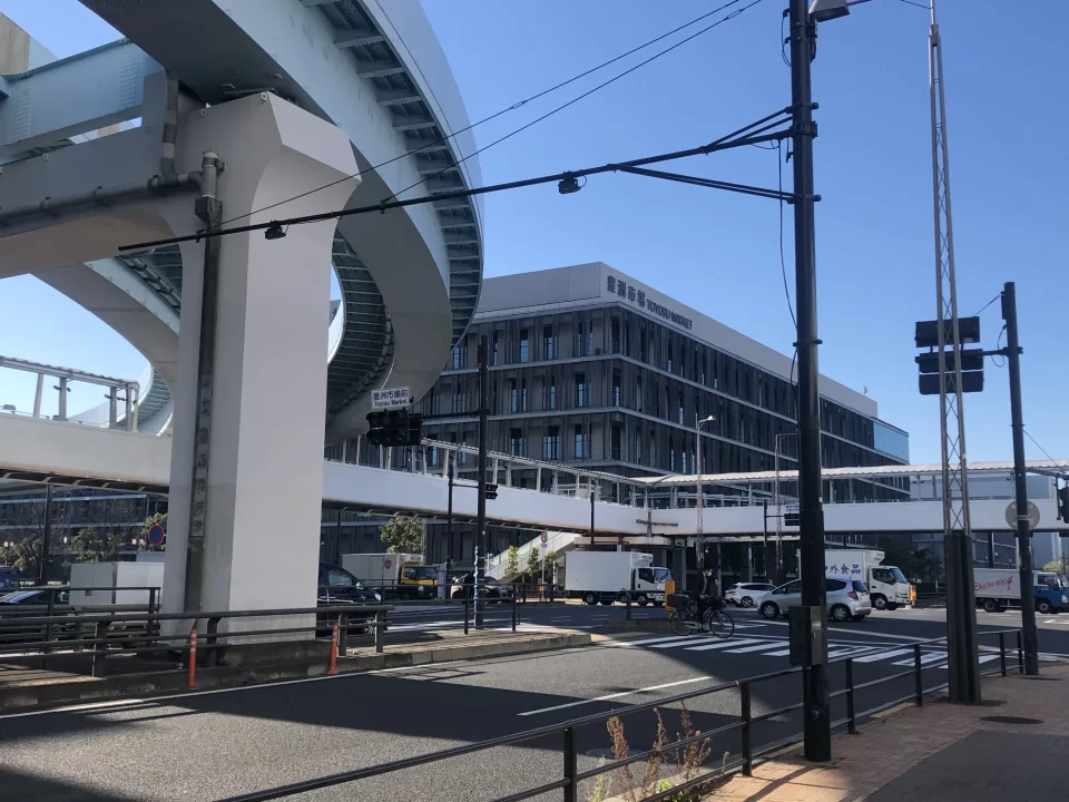 Photo of a monorail overpass in Toyosu, Tokyo.