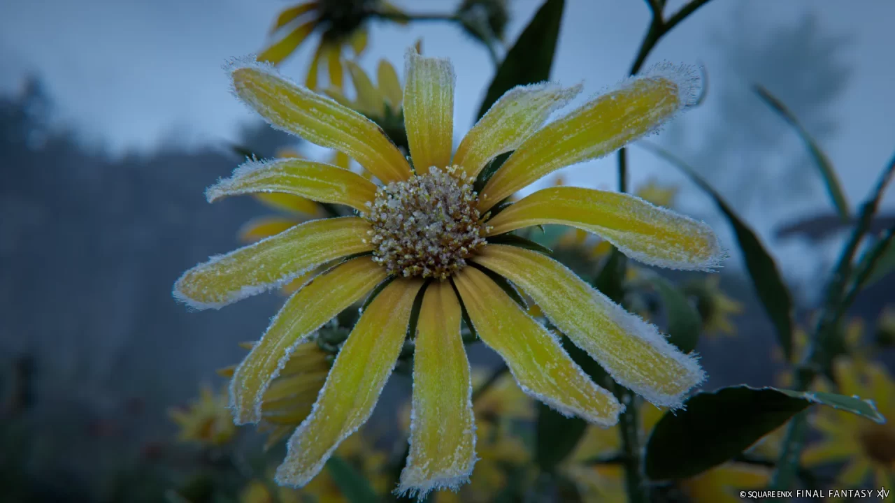 Final Fantasy XIV Evercold Screenshot 005