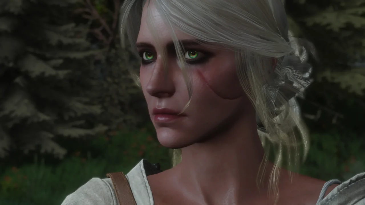 The Witcher 3 Wild Hunt Remastered Screenshot 002 The Witcher 3 Wild Hunt Remastered Screenshot 002